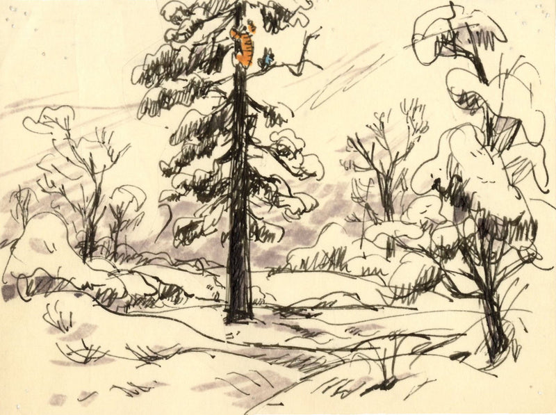 Winnie the Pooh and Tigger Too Original Storyboard with Dialogue Tag: Tigger, Roo