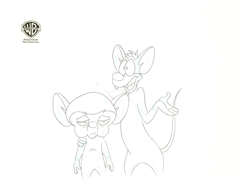 Pinky And The Brain Original Production Cel with Matching Drawing Signed by Tom Ruegger: Pinky, Brain