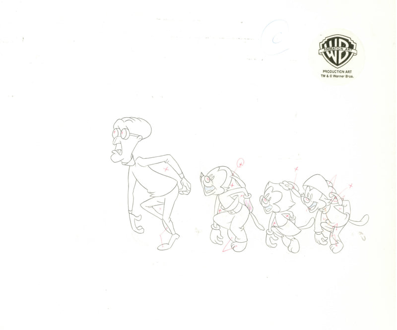 Animaniacs Original Production Cel with Matching Drawing: Dr. Scratchansniff, Yakko, Wakko, Dot