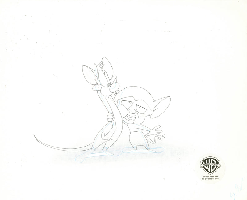 Pinky And The Brain Original Production Cel with Matching Drawing: Pinky, Brain