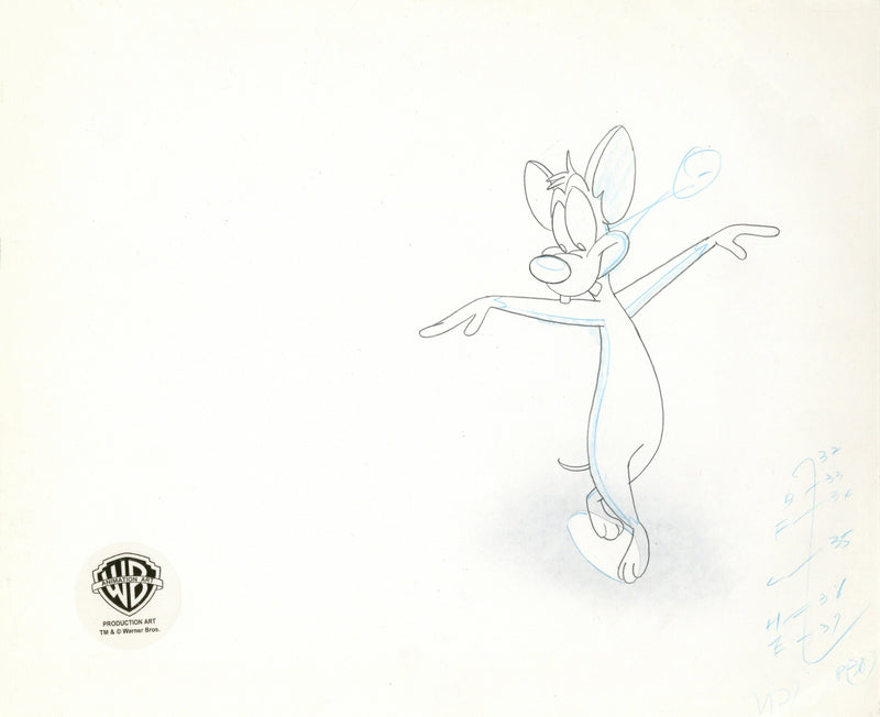 Pinky And The Brain Original Production Cel with Matching Drawings Signed by Tom Ruegger: Pinky, Brain