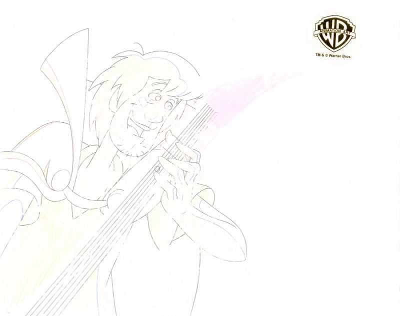 Scooby-Doo and the Witch's Ghost Original Production Cel Signed by Bob Singer: Shaggy, Luna