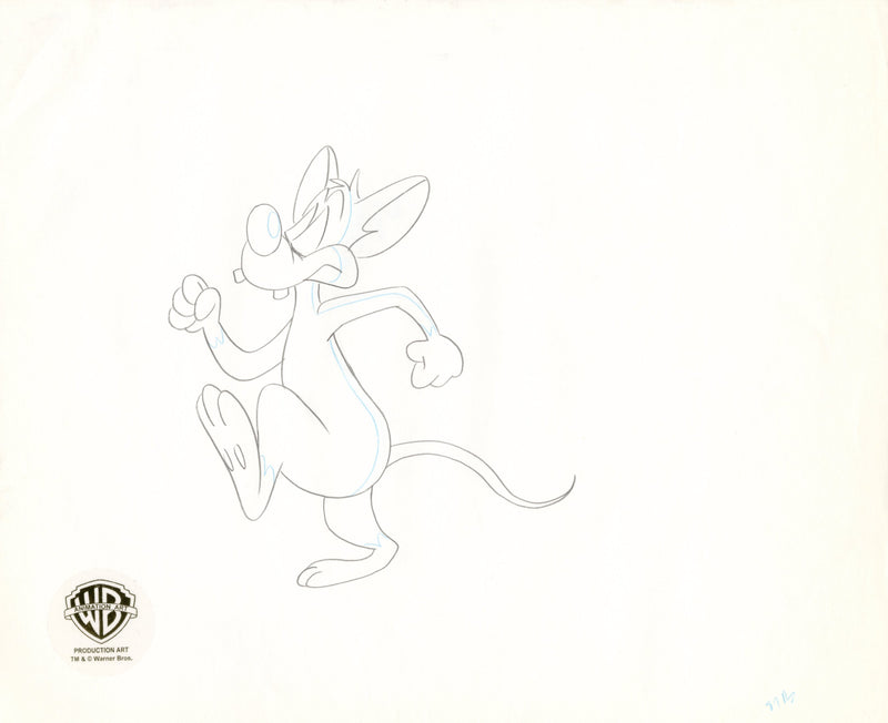 Pinky And The Brain Original Production Cel with Matching Drawing Signed by Tom Ruegger: Pinky, Brain
