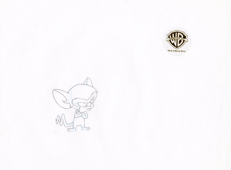 Pinky And The Brain Original Production Cel with Matching Drawing: Pinky, Brain