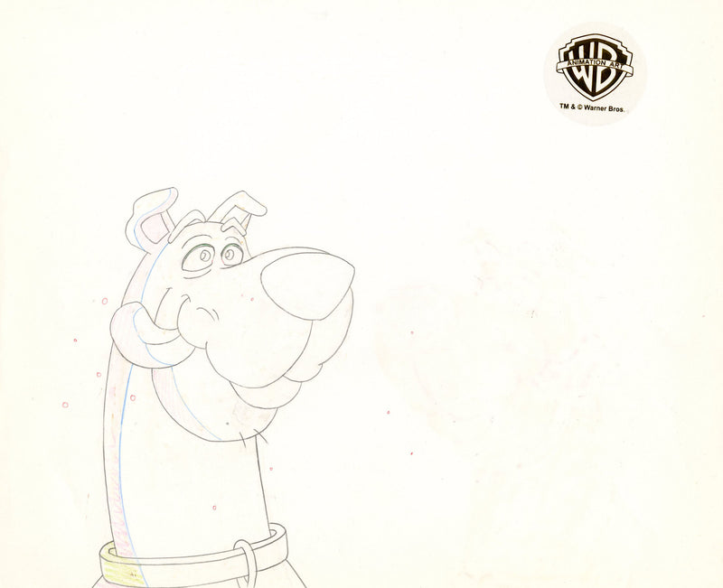 Scooby-Doo on Zombie Island Original Production Cel with Matching Drawing Signed by Bob Singer: Scooby-Doo, Shaggy