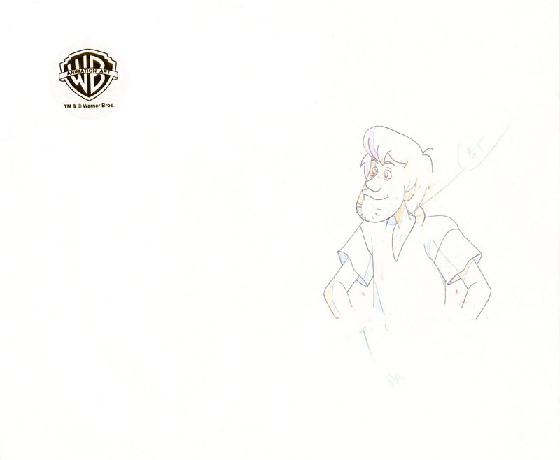 Scooby-Doo on Zombie Island Original Production Cel with Matching Drawing Signed by Bob Singer: Scooby-Doo, Shaggy