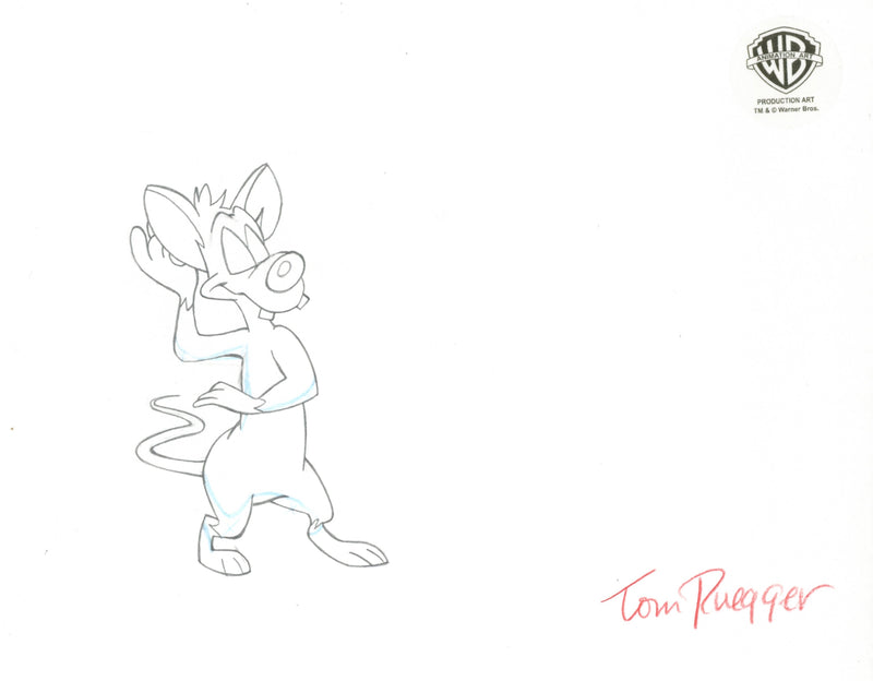 Pinky And The Brain Original Production Cel with Matching Drawings Signed by Tom Ruegger: Pinky and Brain