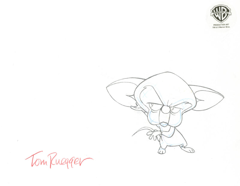 Pinky And The Brain Original Production Cel with Matching Drawings Signed by Tom Ruegger: Pinky and Brain