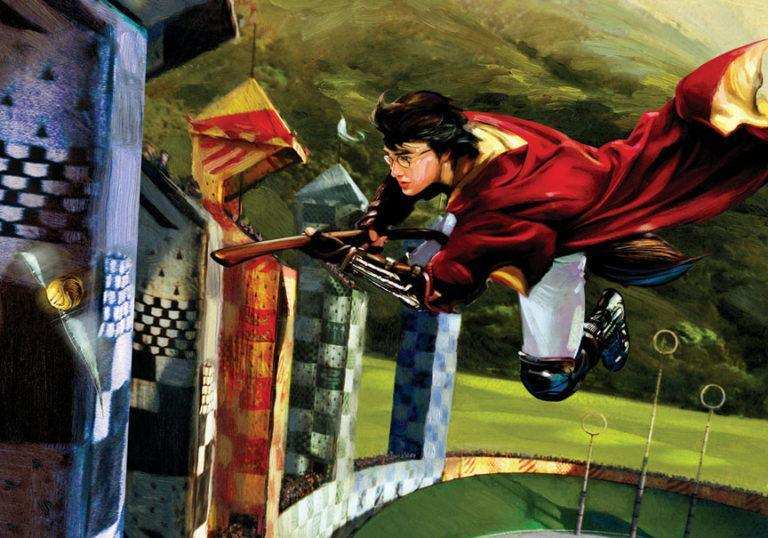 Harry And The Golden Snitch: Double Signed - Choice Fine Art