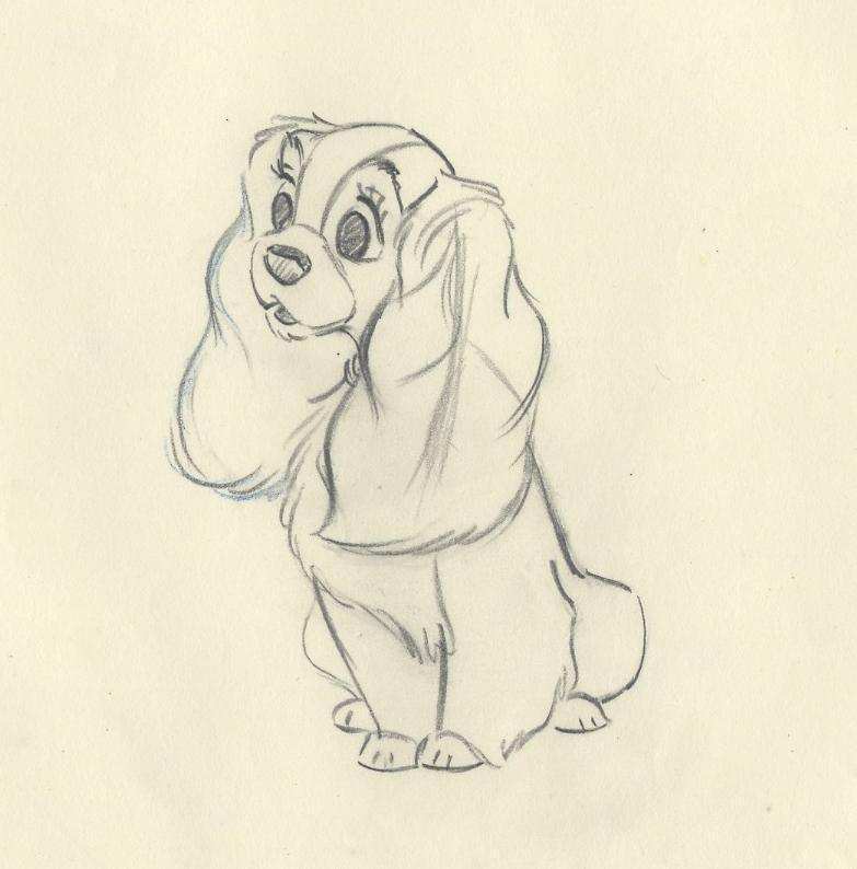 Lady and the Tramp Original Production Drawings - Choice Fine Art