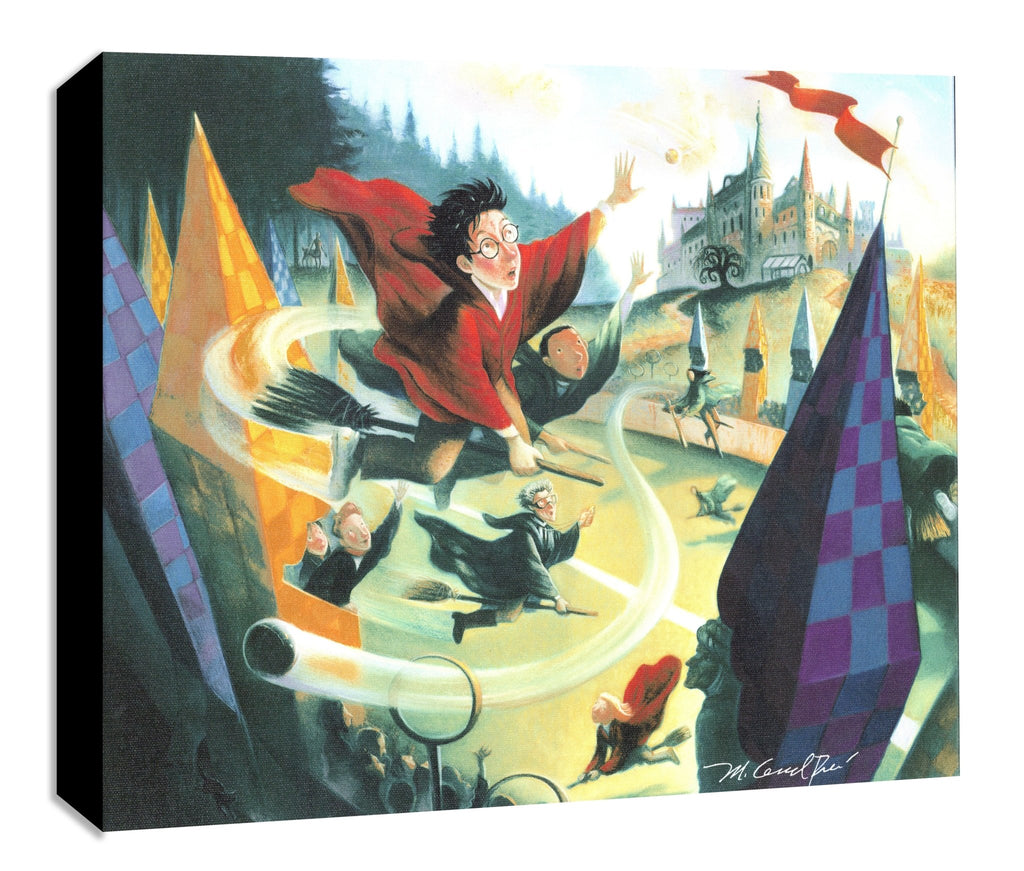Mighty Mini Collection: Quidditch - Choice Fine Art