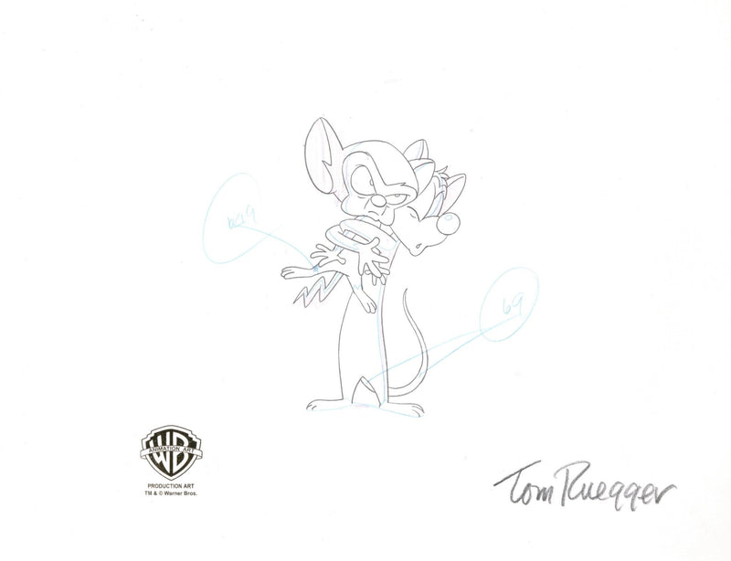 Pinky And The Brain Original Production Cel with Matching Drawing Signed by Tom Ruegger: Pinky and Brain - Choice Fine Art
